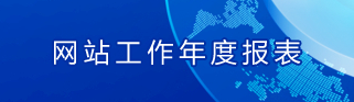 网站工作年报